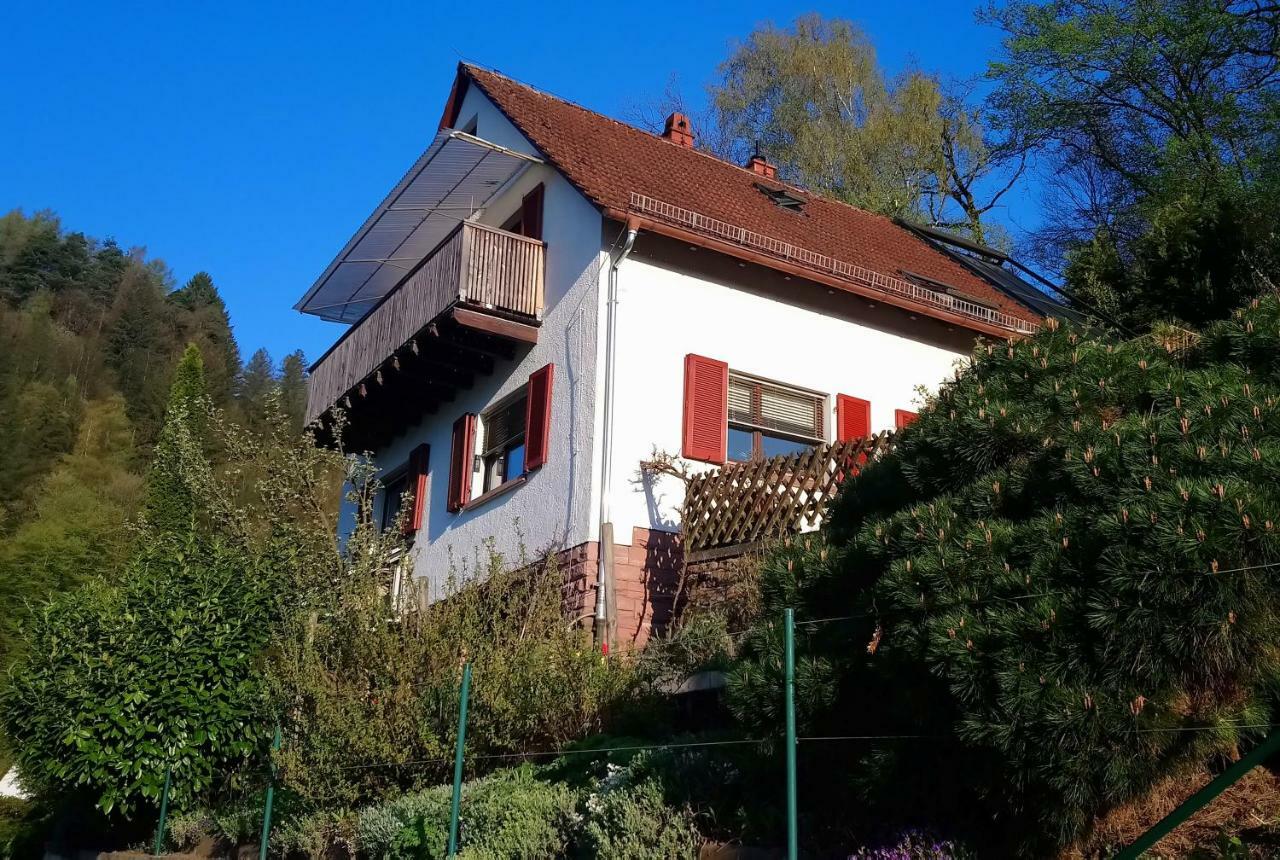 Апартаменты Casa La Collina Delle Ginestre Эбербах Экстерьер фото